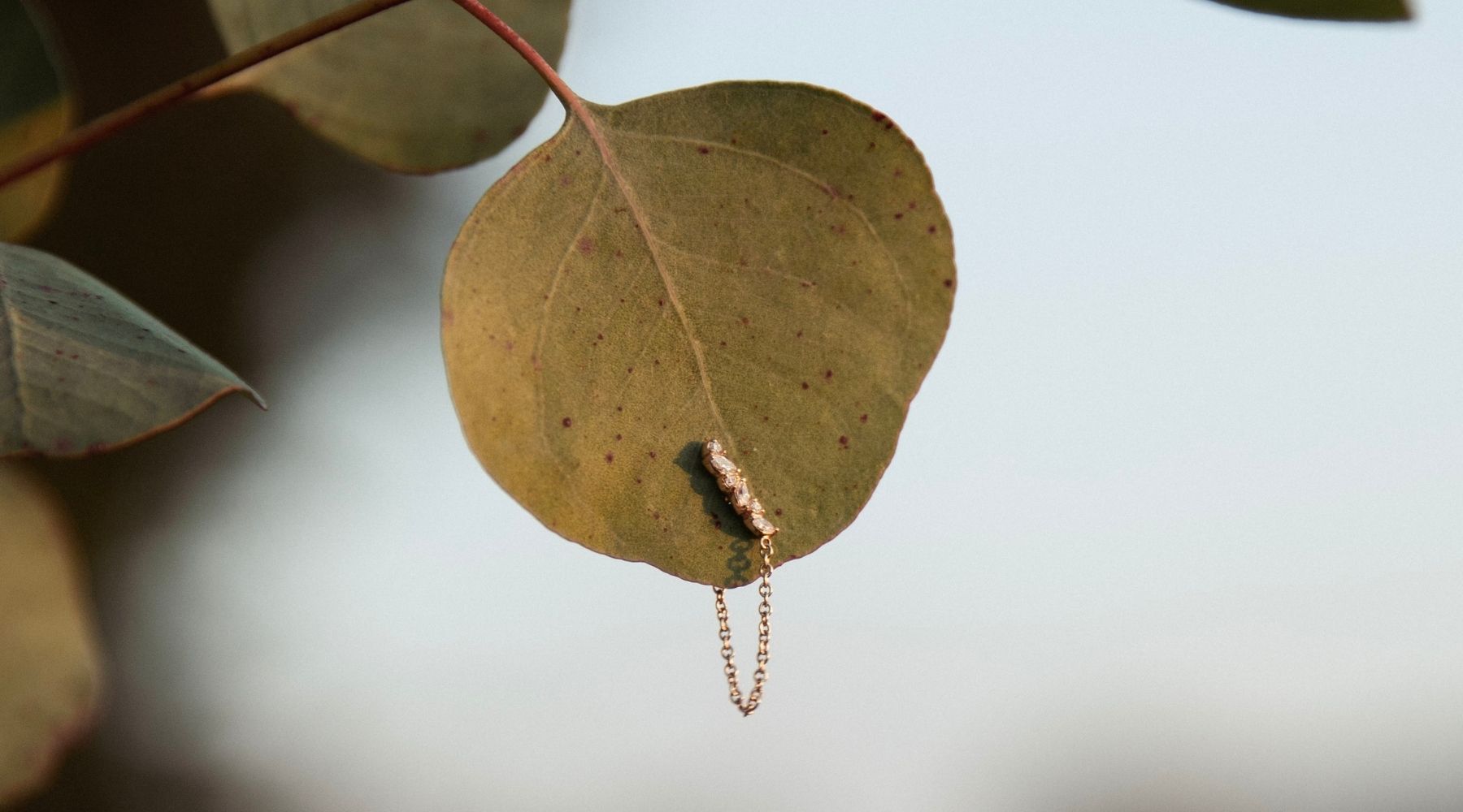 Just Released: Petite Cluster Chain Earring