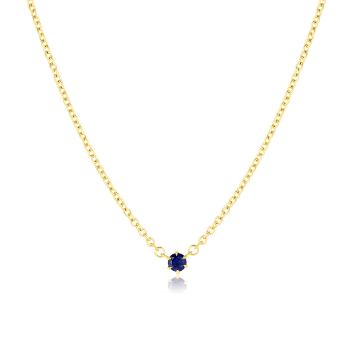 6 Prong Sapphire Necklace - Consider the Wldflwrs