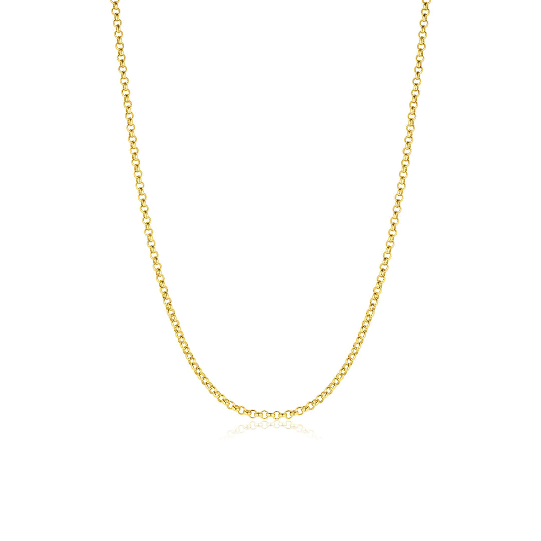 Everyday Rolo Chain Necklace - Consider the Wldflwrs