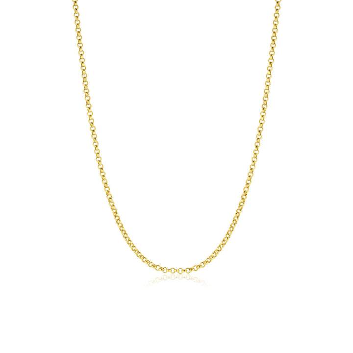 Everyday Rolo Chain Necklace - Consider the Wldflwrs