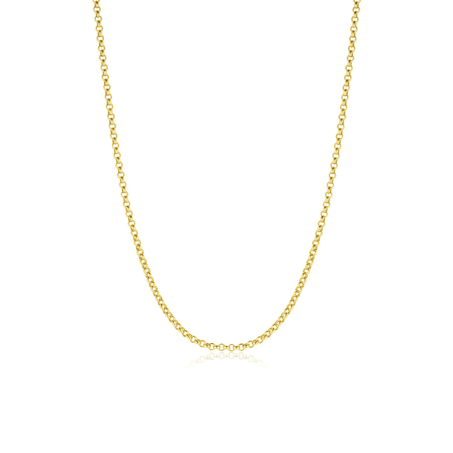 Everyday Rolo Chain Necklace - Consider the Wldflwrs