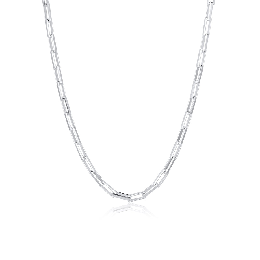 Silver Long Link Necklace - Consider the Wldflwrs