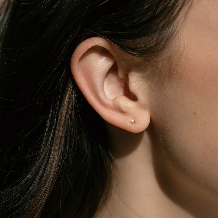 Micro Diamond Stud Earring Consider the Wldflwrs CTWF