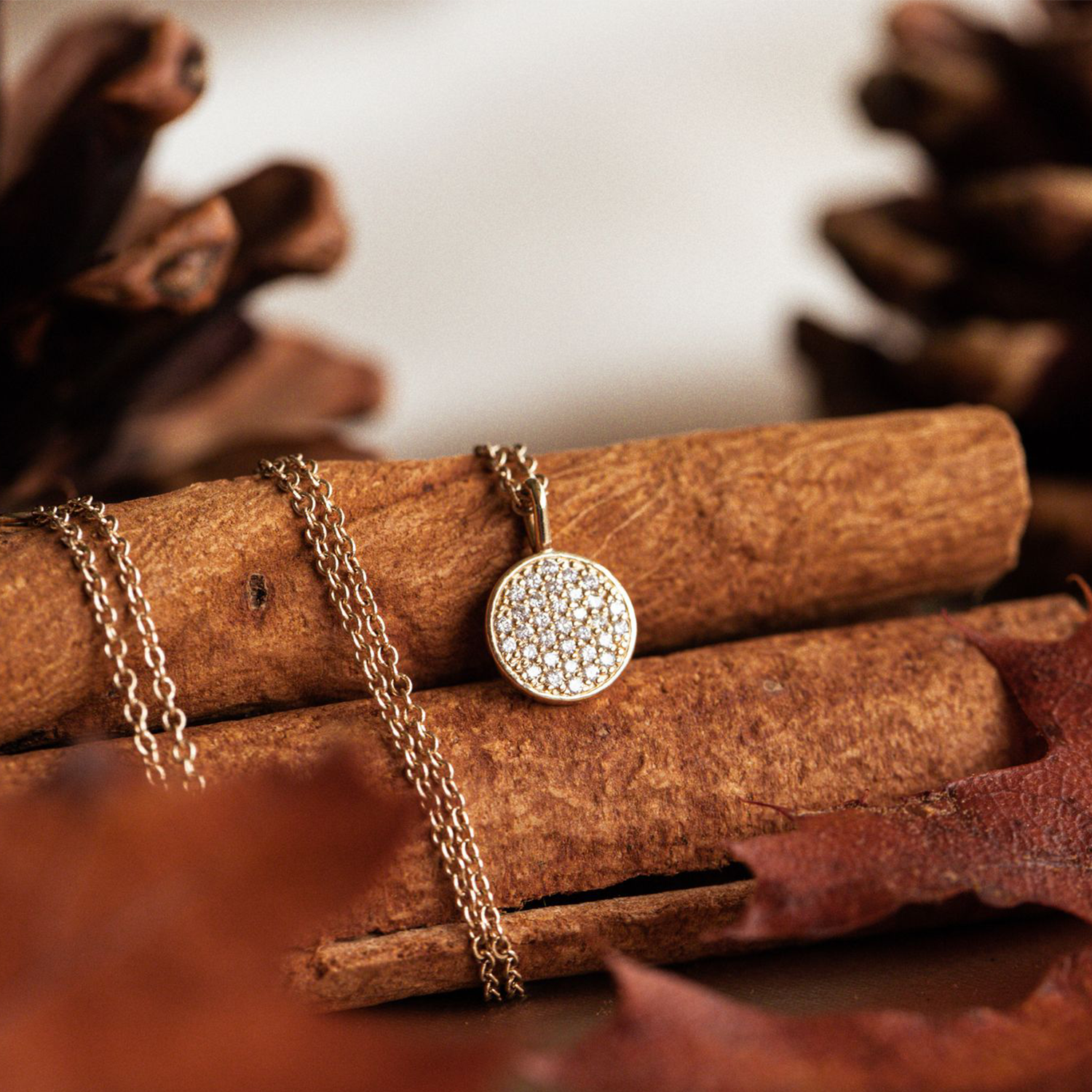 Small Pavé Round Heritage Necklace - Consider the Wldflwrs